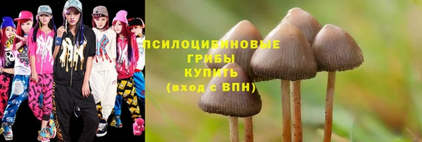 MESCALINE Горно-Алтайск