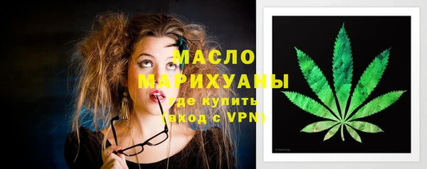 индика Горнозаводск
