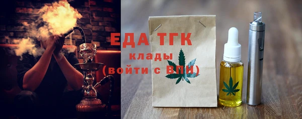 индика Горнозаводск