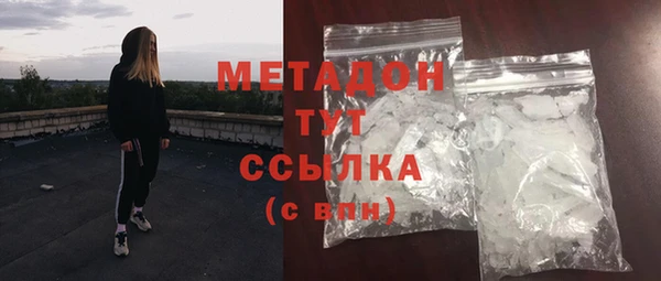индика Горнозаводск