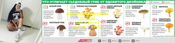 PSILOCYBIN Шали