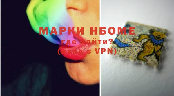 индика Горнозаводск