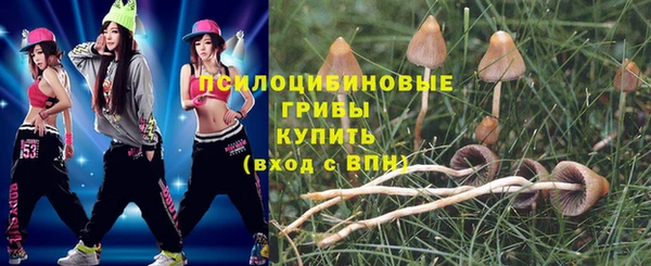 марки nbome Горняк