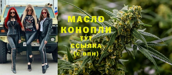 индика Горнозаводск