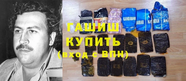 индика Горнозаводск