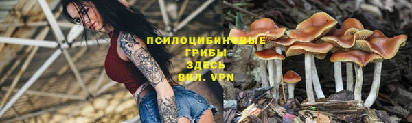 MESCALINE Горно-Алтайск