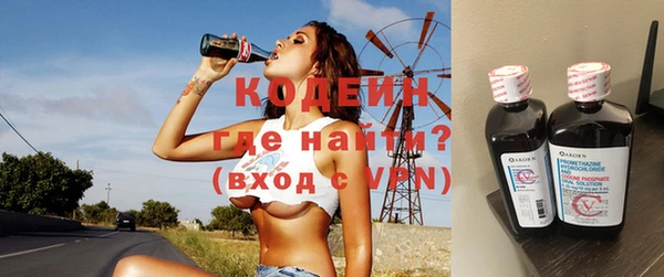 индика Горнозаводск
