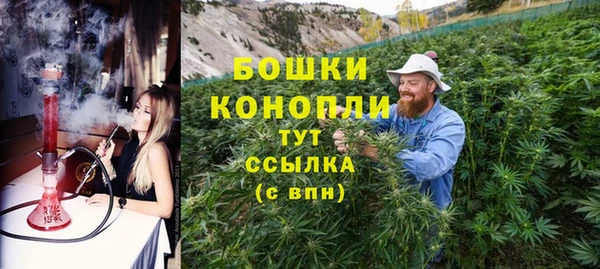 индика Горнозаводск