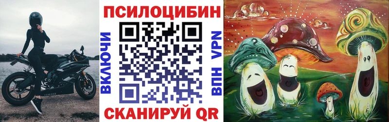 где найти   Мончегорск  Галлюциногенные грибы прущие грибы 