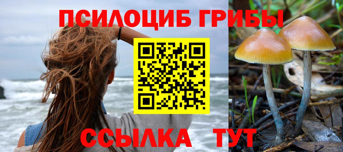 дарнет шоп  Псилоцибиновые грибы мицелий  Мончегорск  Вход с VPN  Галлюциногенные грибы Psilocybine cubensis 